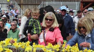 Let's Go Vision 2020 (2017 Easter Recap)
