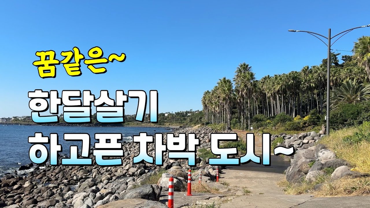 꿈같은~ 한달살기 하고싶은 차박 도시~ / 바다 차박👍 무료차박 👍