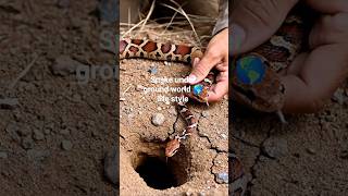 Snake POV World #SnakePOV #Venomous #Wildlife #AnimalWorld #viralvideo