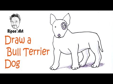 How To Draw A Bull Terrier Dog Easy Easy Dog Drawing Youtube