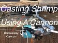 Spin Casting Shrimp Using Breakaway Cannons!