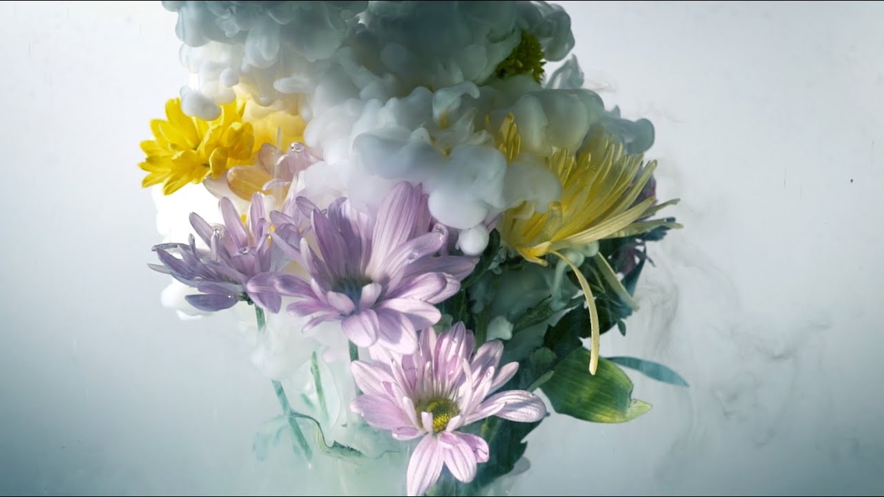 在 YouTube 上觀看「"Paycheck" by Slingshot Dakota (official video)」 在 YouTube 上觀看「"Paycheck" by Slingshot Dakota (official video)」