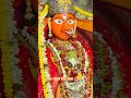 জয় বড়ো মার জয় 🌺🙏🌺🙏