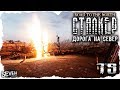 S.T.A.L.K.E.R. Дорога на север #15 - По ложному следу