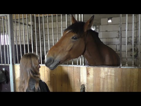 💕АКТИВНОЕ СУБОТНЕЕ УТРО ПРИЕХАЛИ НА СОРИВНОВАНИЯ ПО  ВЫЕЗДКЕ МОМЕНТЫ💕