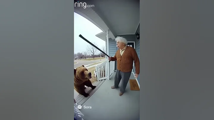 Bear vs Old Man #funny