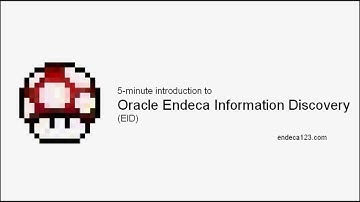 5-minute introduction to Oracle Endeca Information Discovery