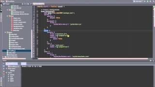 Celebrity GruntJS in WebStorm 8 Profile