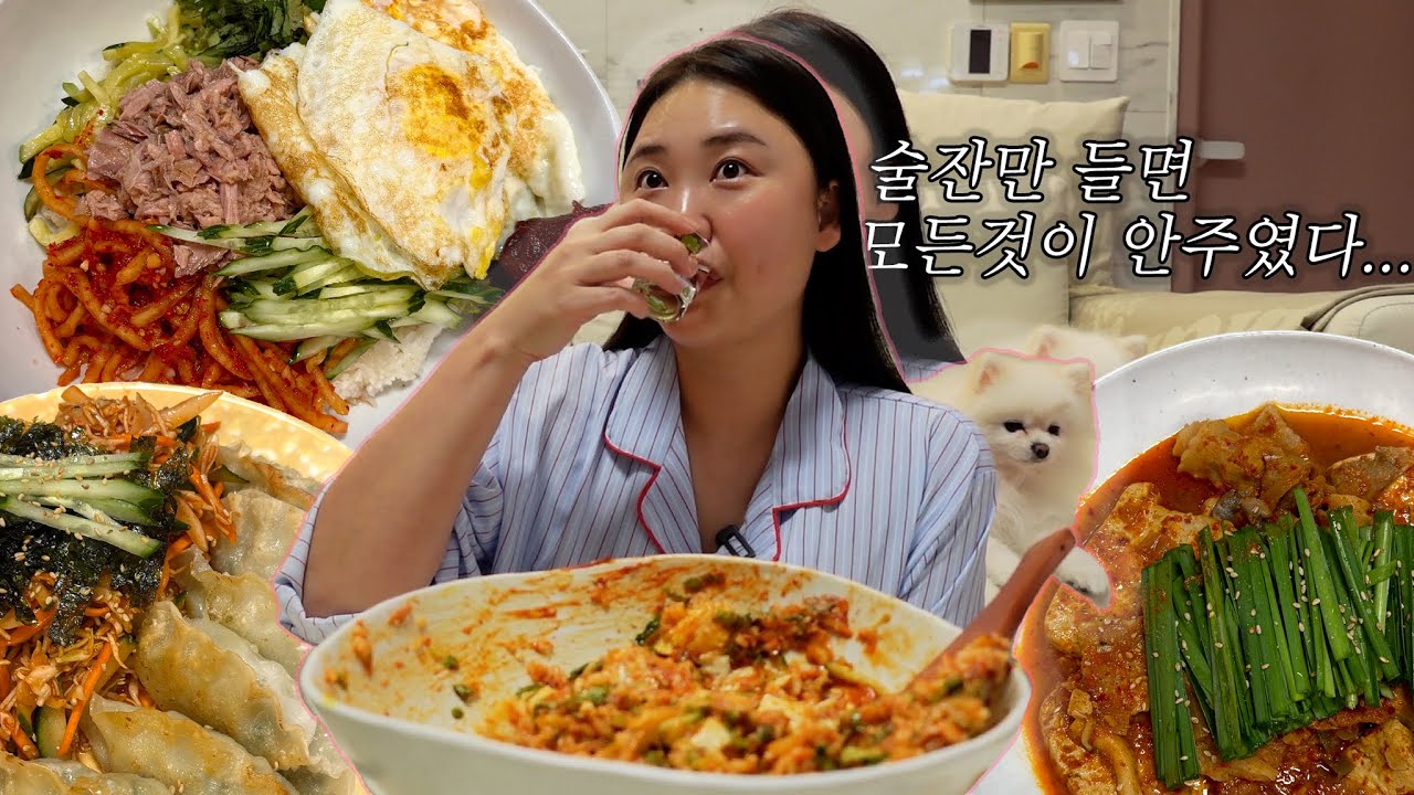 먹방vlog I 모든것이 안주가 되는 magic.. ✨I 비빔밥정식, 비빔만두, 대패두부조림, 등촌샤브칼국수 밀키트 , 눌은밥+청국장, 포차우동, 매운닭발  