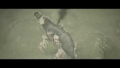 HARPOON KILL Shadow of the Colossus Colossus 4 (harpoon of thunder)