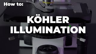 Microscope installation and setup. Köhler illumination.