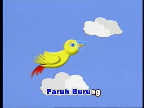 Lagu Anak Segi Tiga | Spacetoon Indonesia