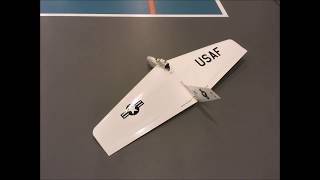 EDF Wisel, indoor flying