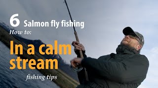 How To Salmon Fly Fishing In A Calm Stream Fishing Tips