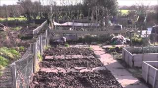 Steve's Allotment Episode 3