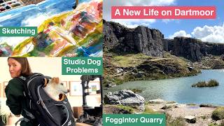 I've moved! - An Artist's Life on Dartmoor