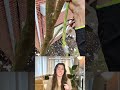 Cat Keeps Climbing Higher Every Time His Family Tries To Rescue Him | The Dodo