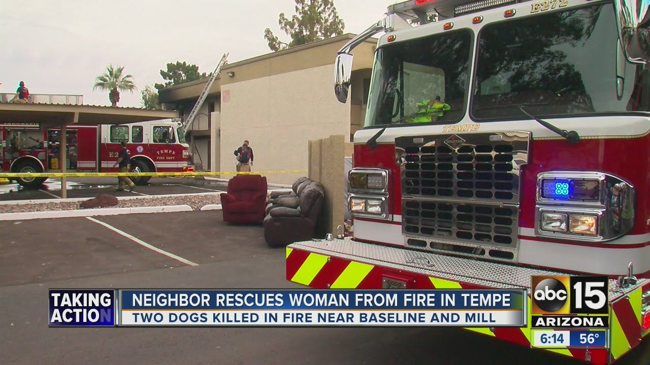 FD: 2 dogs dead after fire at Tempe apartment - YouTube