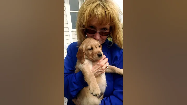 Snickers as a Baby in Spicer
