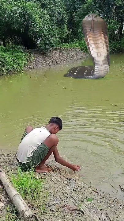 Snake video 🐍.mp4