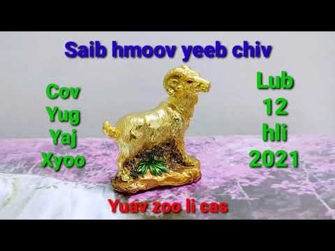 Video: Yuav Ua Li Cas Thiaj Ua Haujlwm Tshiab