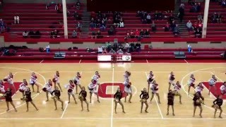 Ottawa Township High School Poms and Shepherd Poms - Pump Up the Jam - February 9th, 2016