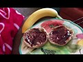 Vlog - 25 Week Pregnancy Update, Vegan Grocery Haul, & Avocado Allergy?
