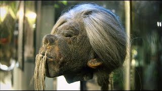 Tzantza, La Practica De Reducción De Cabezas Del Pueblo Shuar