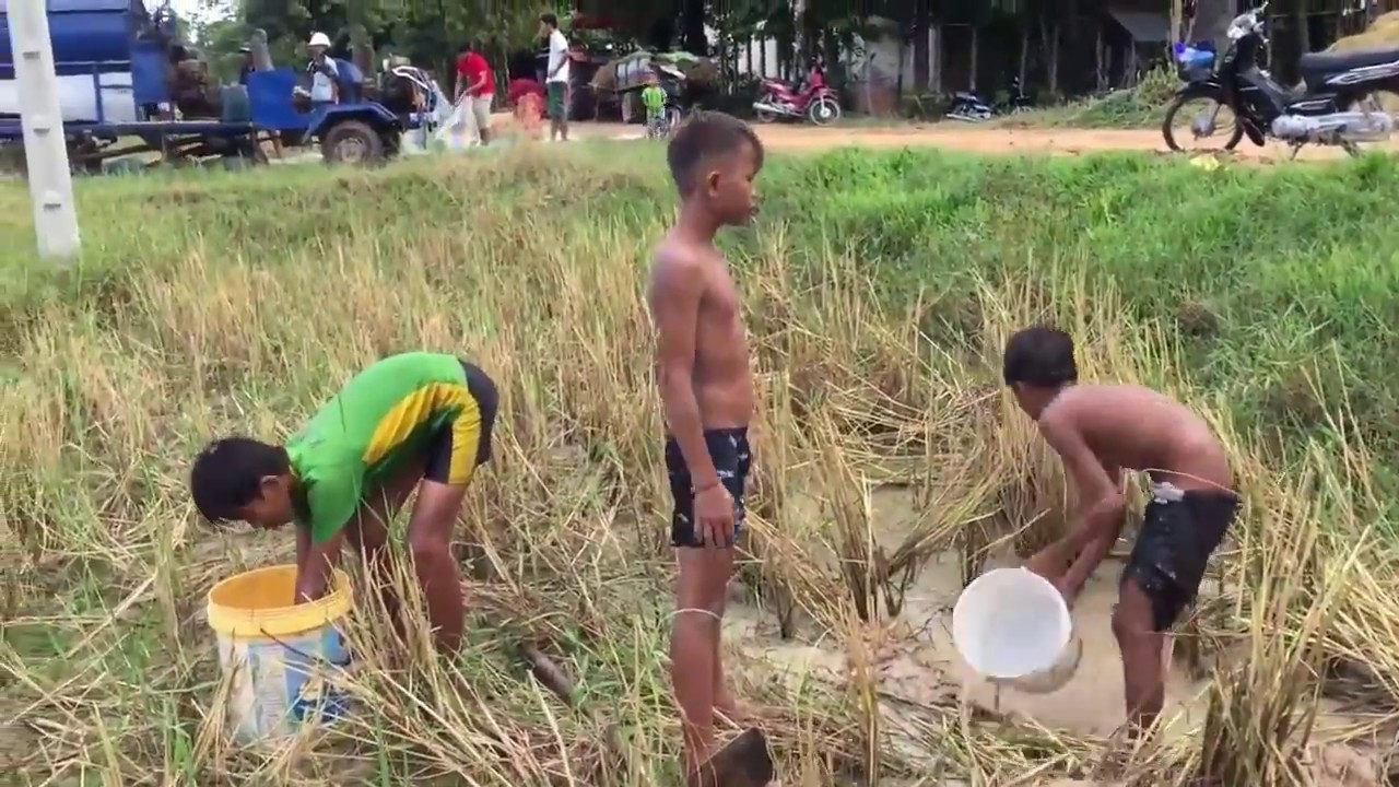 cambodia all net fishing ▶net fishing khmer - net fishing cambodia - Net Fishing Videos #16
