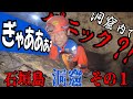 驚愕！隊長パニック未踏洞窟発見！【石垣島洞窟その１】