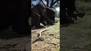 Red Snake Bites Bear to Save Girl - Heroic Rescue! RDR2 #shorts