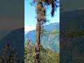 Mastana mausam nazara hai #shirts #viral #drending  #video ❤