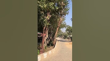 GC university Hyderabad🥀 😊#foryou#views#shorts#beautiful#education#music#shortsfeed#youtube#song#uni