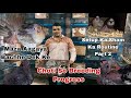 Bird Breeding Setup Ka Routine Part 2| Choti Si Breeding Progress|Box Me Pyare Bachhe @ShehbazBirds