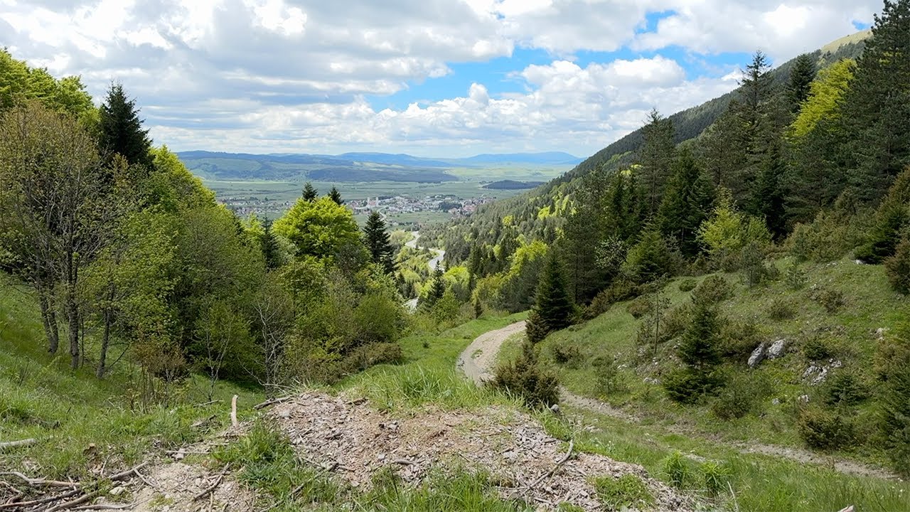 BOSNA I HERCEGOVINA -  I MAJKA, I MAĆEHA I RAJ ZA LJUDE