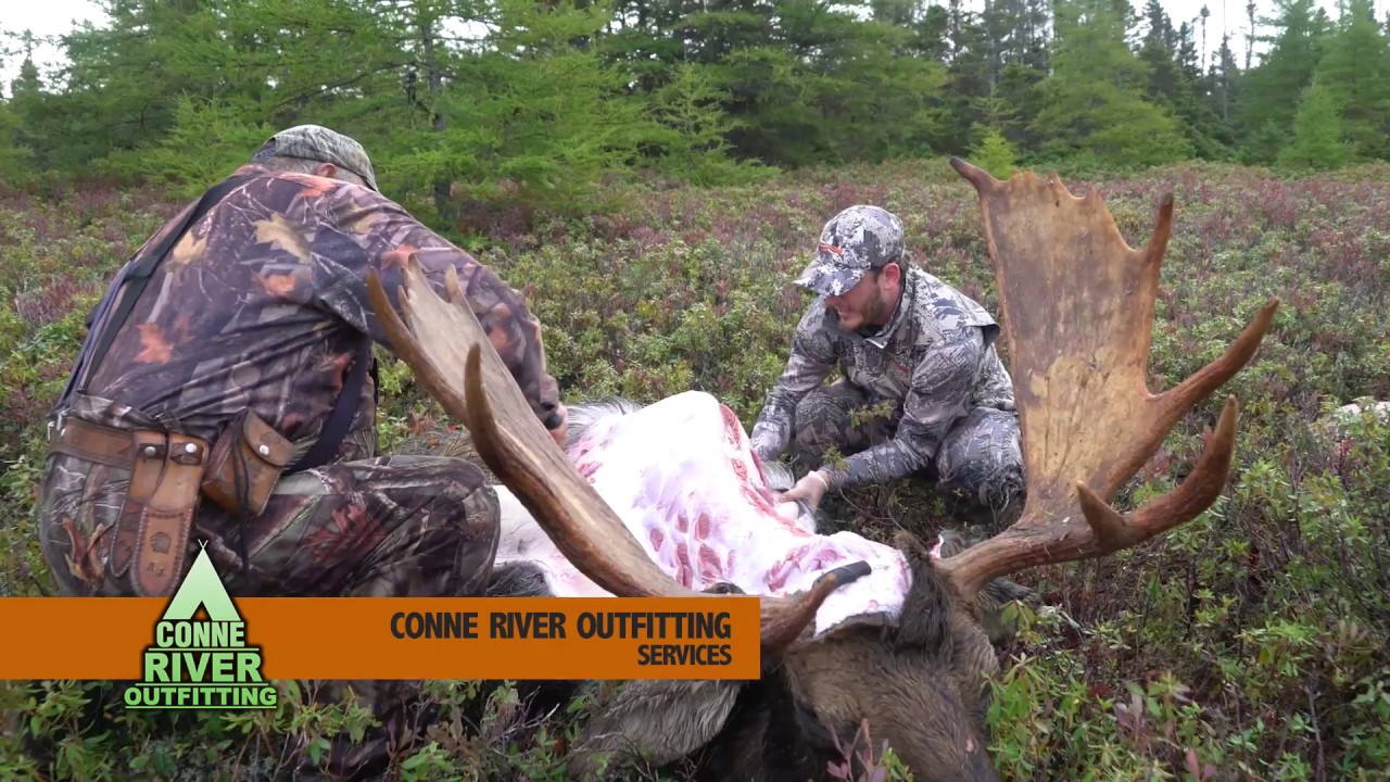 Services Conne River Outfitting YouTube