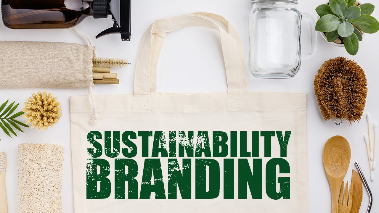 Sustainable Branding Principles & Process (7 Brand Strategy Examples Sustainable Branding Principles & Process (7 Brand Strategy Examples