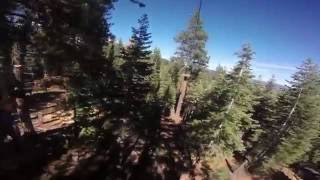 Zip line Course in Tahoe City