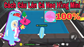 PLAY TOGETHER | Cách Câu Cá Heo Hồng Mini Thành Công 100% | Ka Phạm Gaming