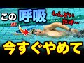 【衝撃】クロールを楽に泳ぎたいなら、もう呼吸はやめてください