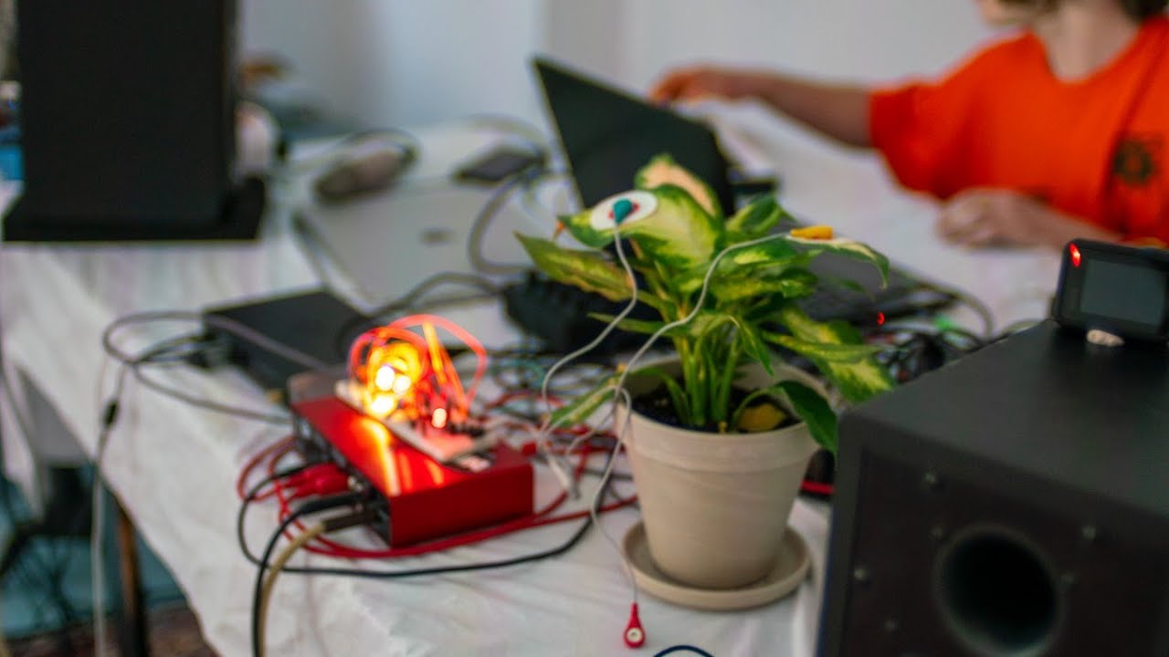 Plant Music - Tak Brzmią Rośliny - Biodata Sonification Live Performance - Modular Behringer Neutron