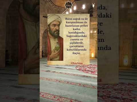 İbni Sina #shorts #shortvideo
