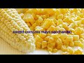Galleyda Asal Ahaan Iyo Qaabah Loo Qeybiyo Orginal And Classification Of Maize Part 2 