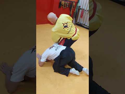 TSKF Kung Fu Equilíbrio em todos os sentidos, sensacional saída de Estrangulamento