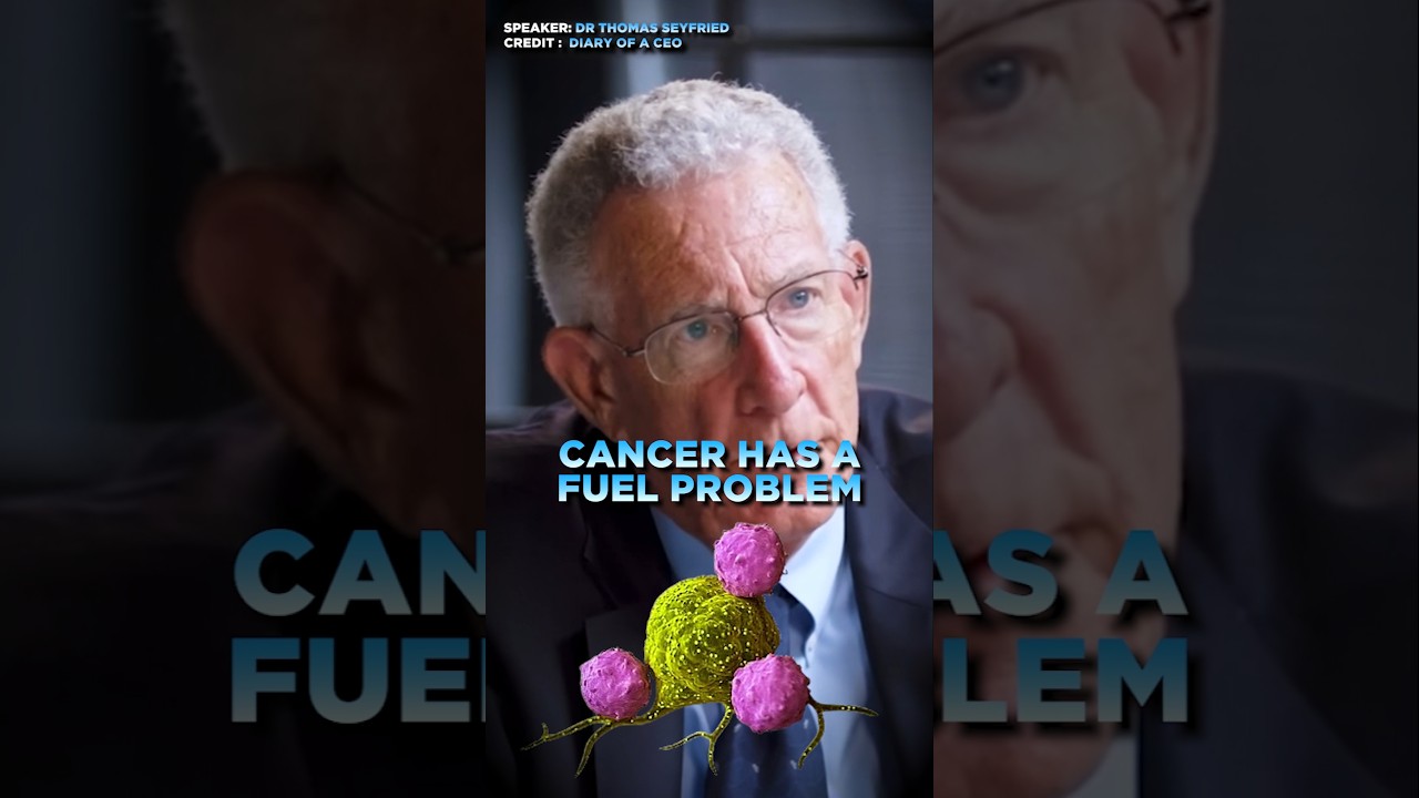 Можно ли в значительной степени предотвратить рак? Объясняет исследователь.