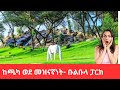 From Abandoned to Amazing: The Incredible Transformation of Bulbula Park