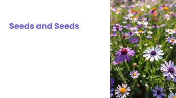 Chapter 5: Seeds & Seeds | Class 5 | EVS