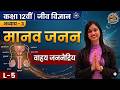 वाहृय जननेद्रिय | मानव जनन | Class 12 Biology | Ch 3 L-5 | Shalini Ma'am