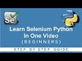 Selenium Python Beginner Tutorial π