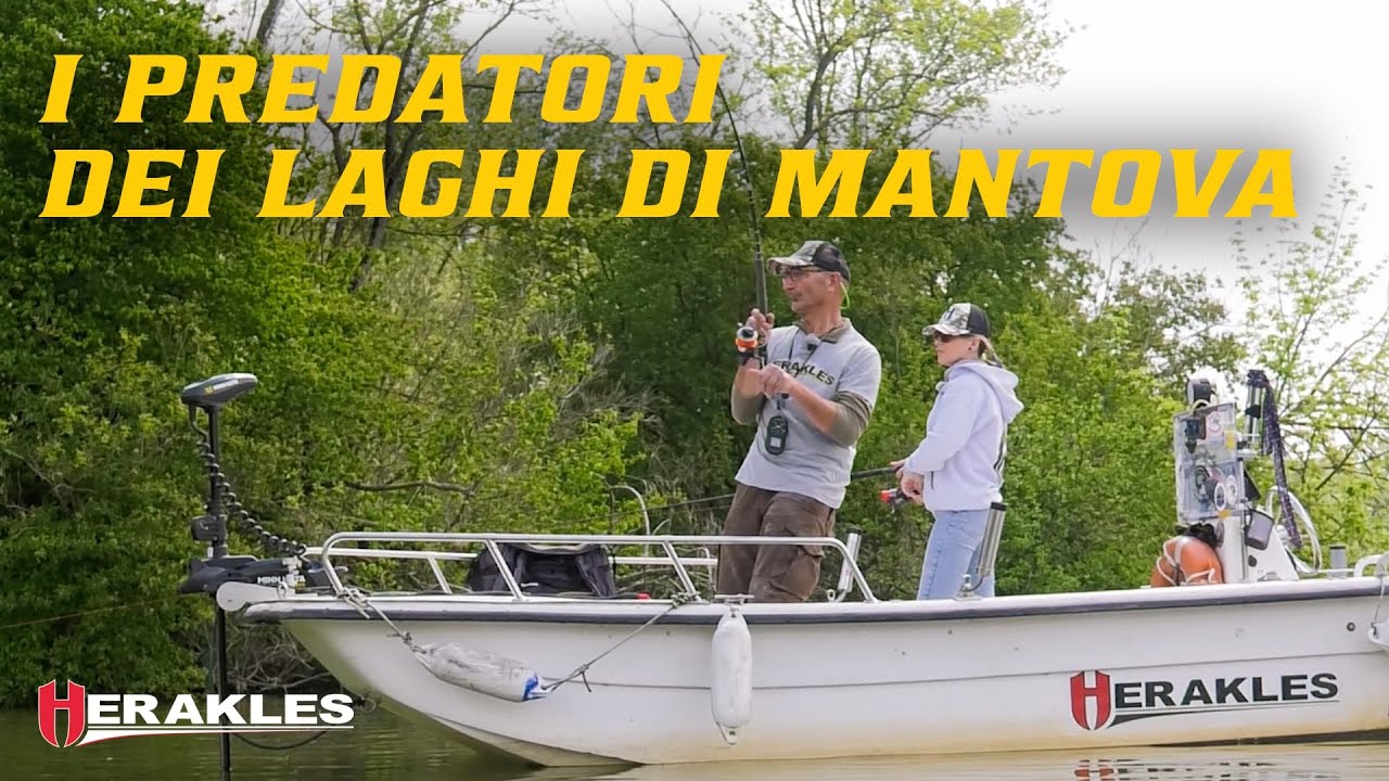 I predatori dei Laghi di Mantova